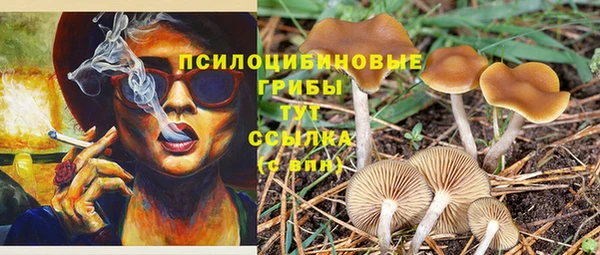 а пвп мука Богородицк