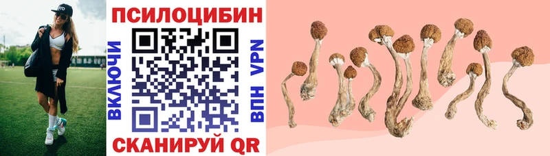 Галлюциногенные грибы Magic Shrooms  mega ссылки  Верхотурье  купить  